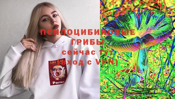 молекула духа Абинск