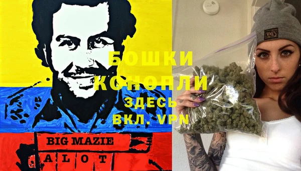 молекула духа Абинск