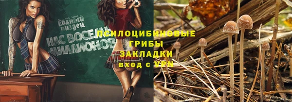 трава Абдулино